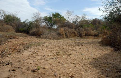 desertificação