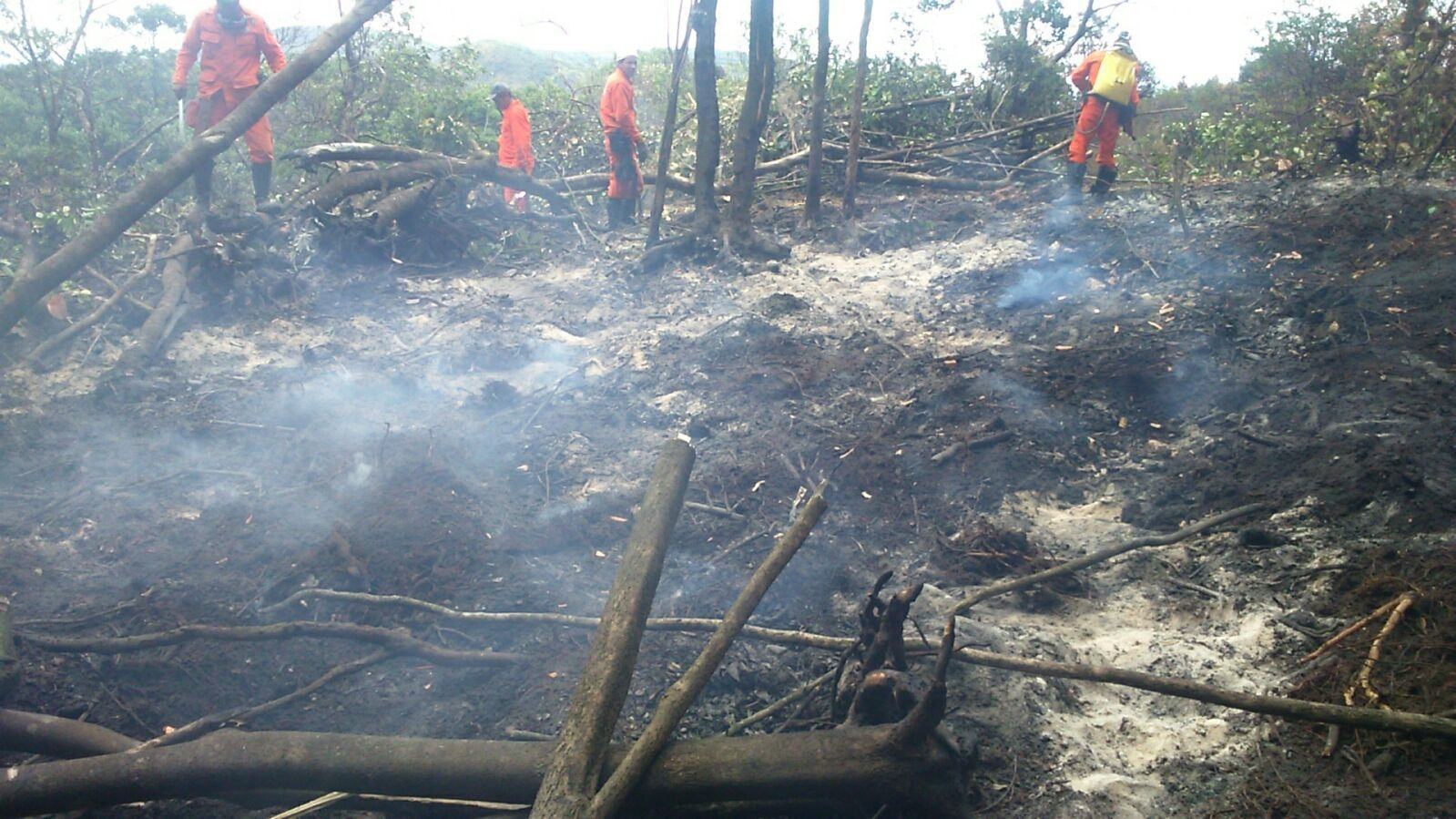 Incêndios das serras de Jacobina são debelados