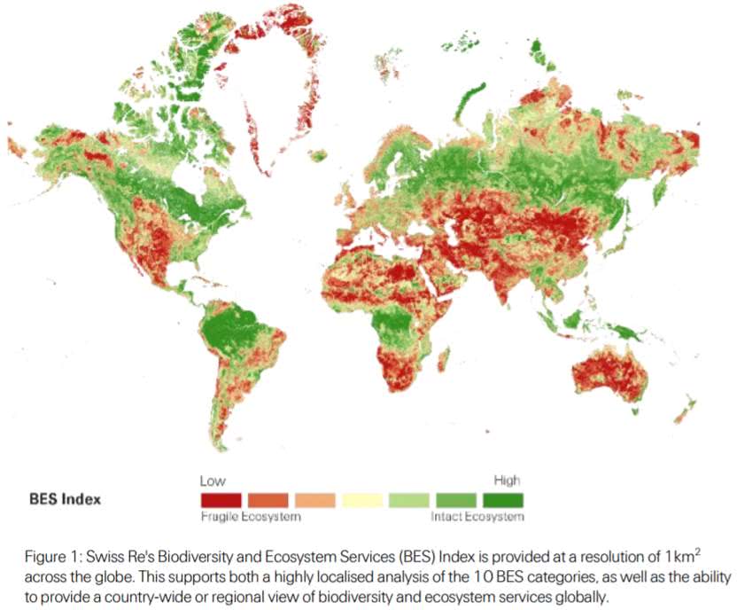 Um quinto dos países correm risco de colapso ecossistêmico