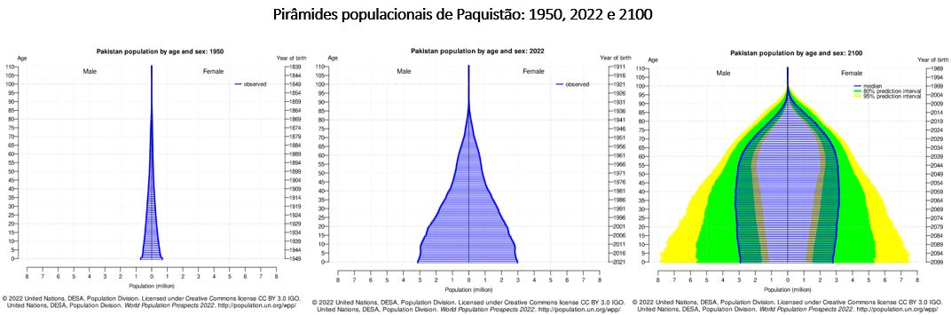 pirâmides populacionais do paquistão