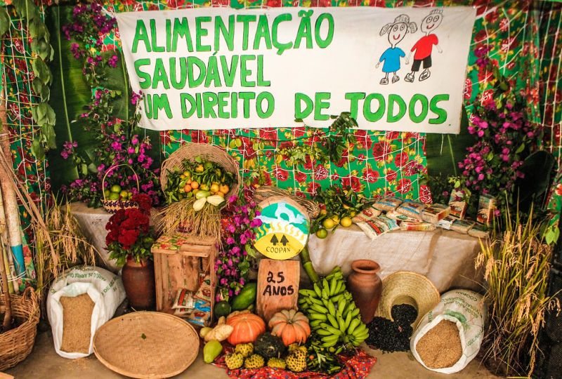 alimentação saudável é um direito de todos