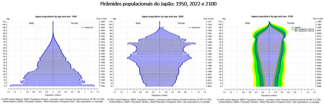 pirâmides populacionais do japão