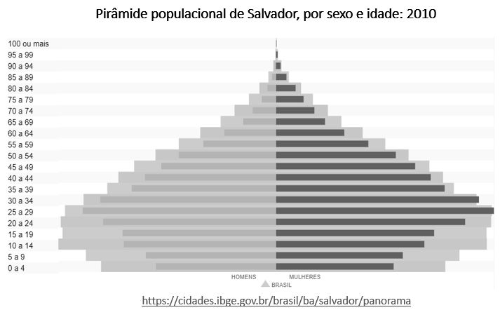pirâmide populacional de salvador