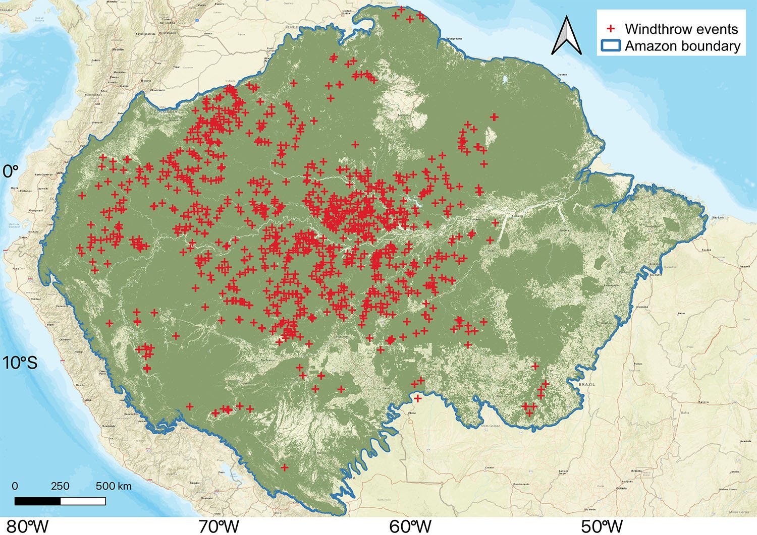 mortalidade de árvores da floresta amazônica