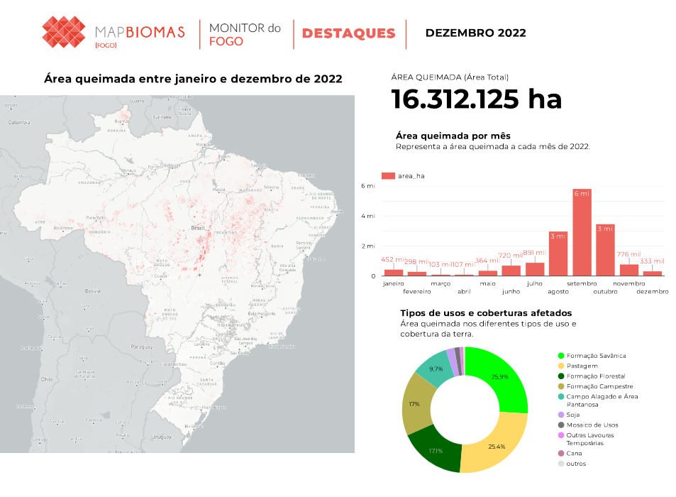 área queimada no brasil em 2022