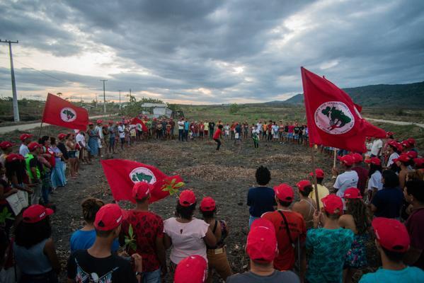 bosque da resistência ana primavesi