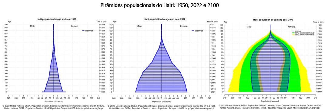 pirâmides populacionais do haiti