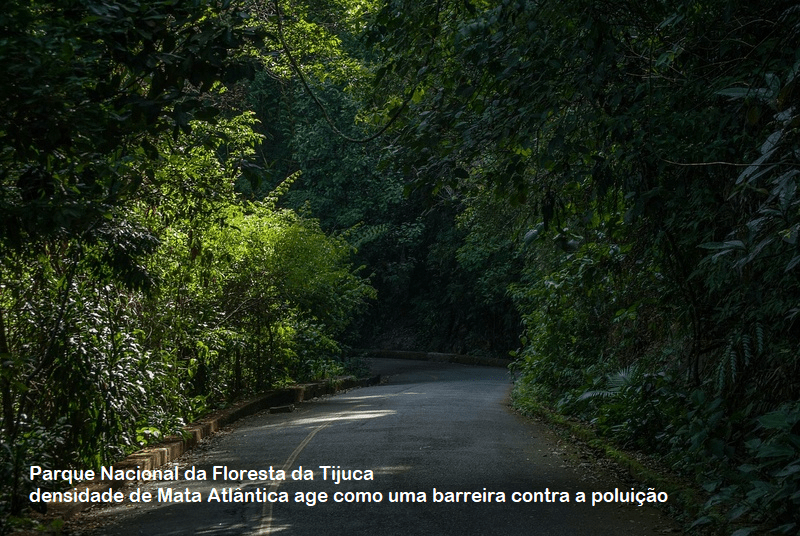 parque nacional da floresta da tijuca