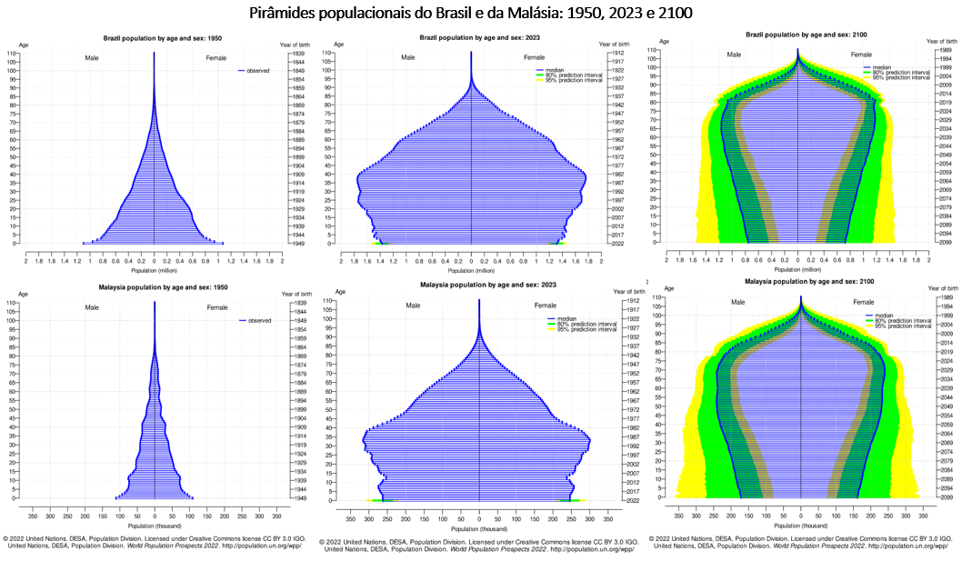 pirâmides populacionais do brasil e da malásia