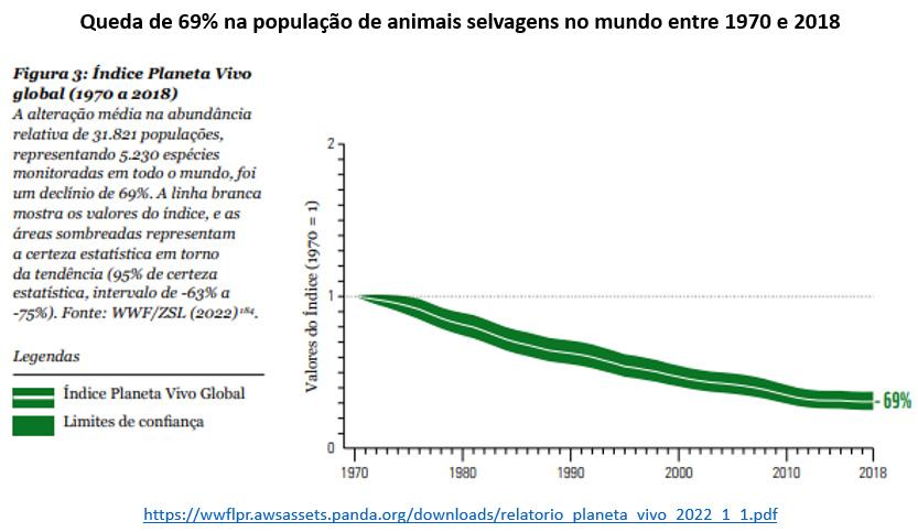 redução na população global de animais selvagens