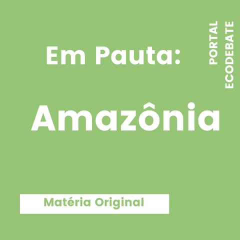 em pauta: Amazônia