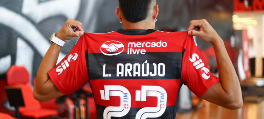 Luiz Araújo Flamengo