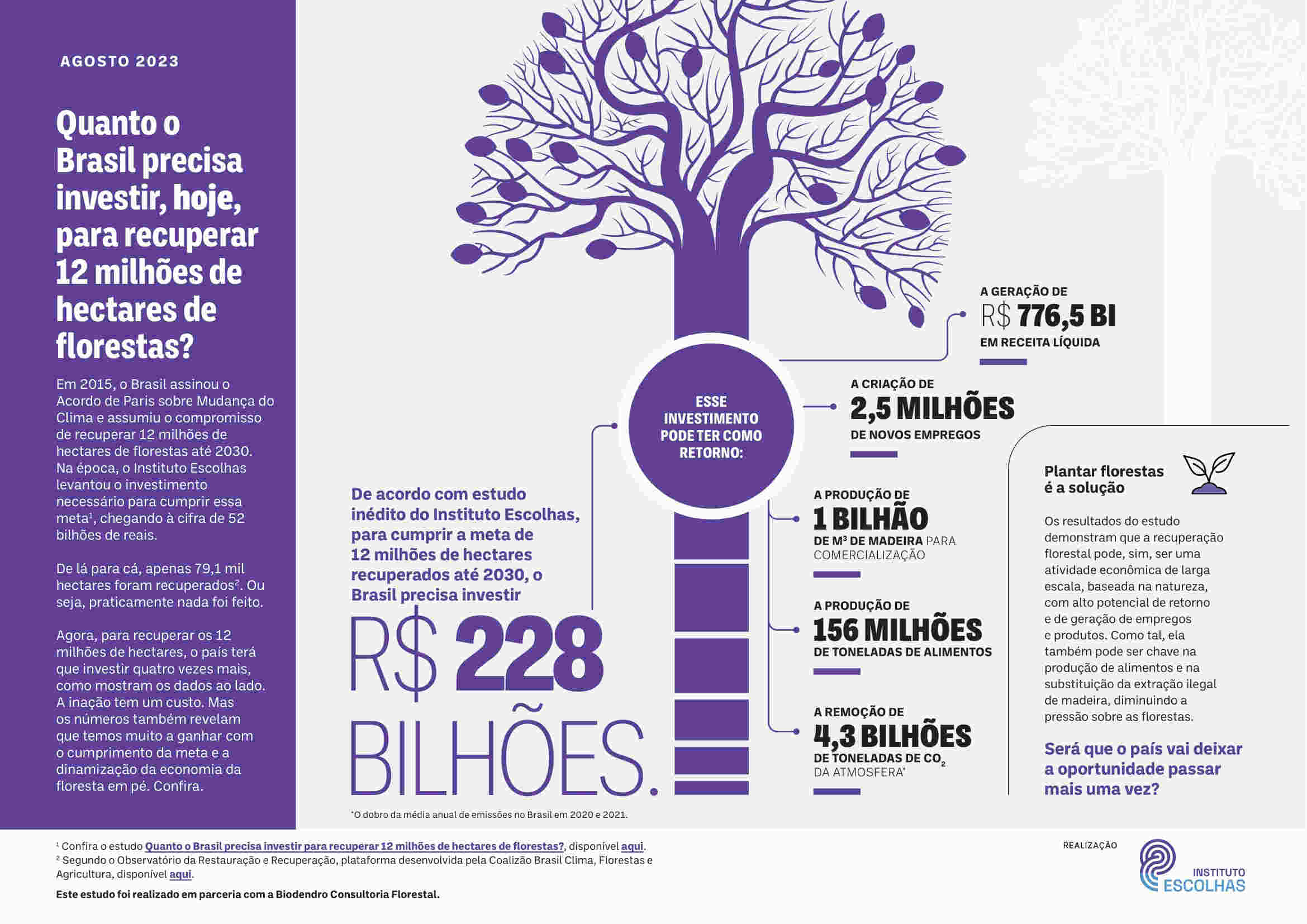 Sistemas Agroflorestais podem gerar renda, alimentos e recuperação florestal no Brasil