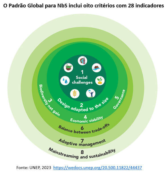 padrão global para NbS