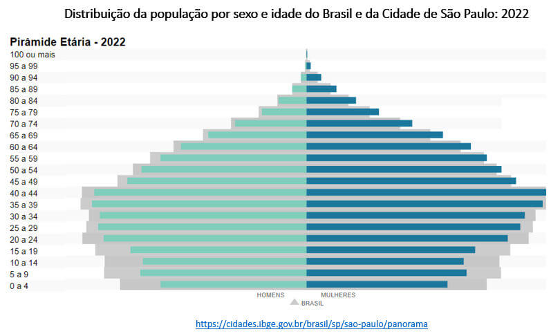 distribuição da população por sexo e idade do brasil e da cidade de são paulo