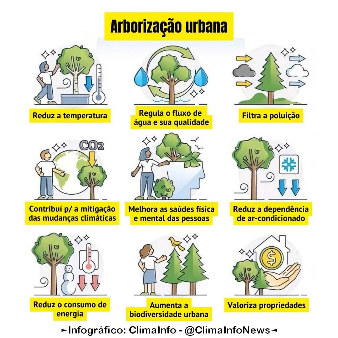 arborização urbana