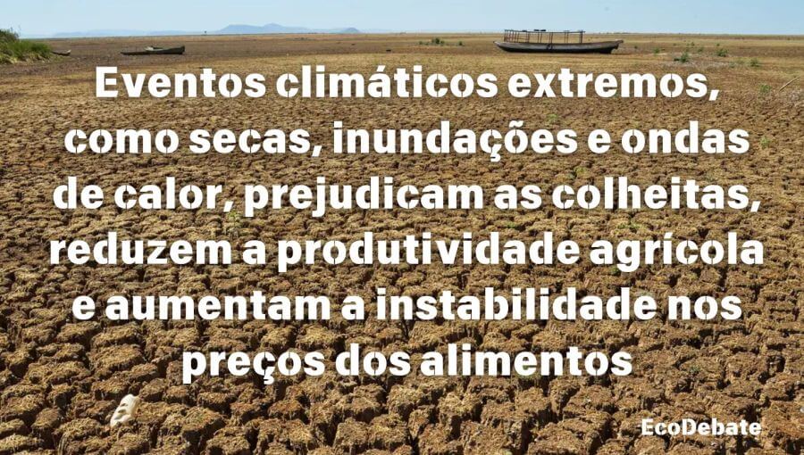 impacto da mudança climática na segurança alimentar global ia