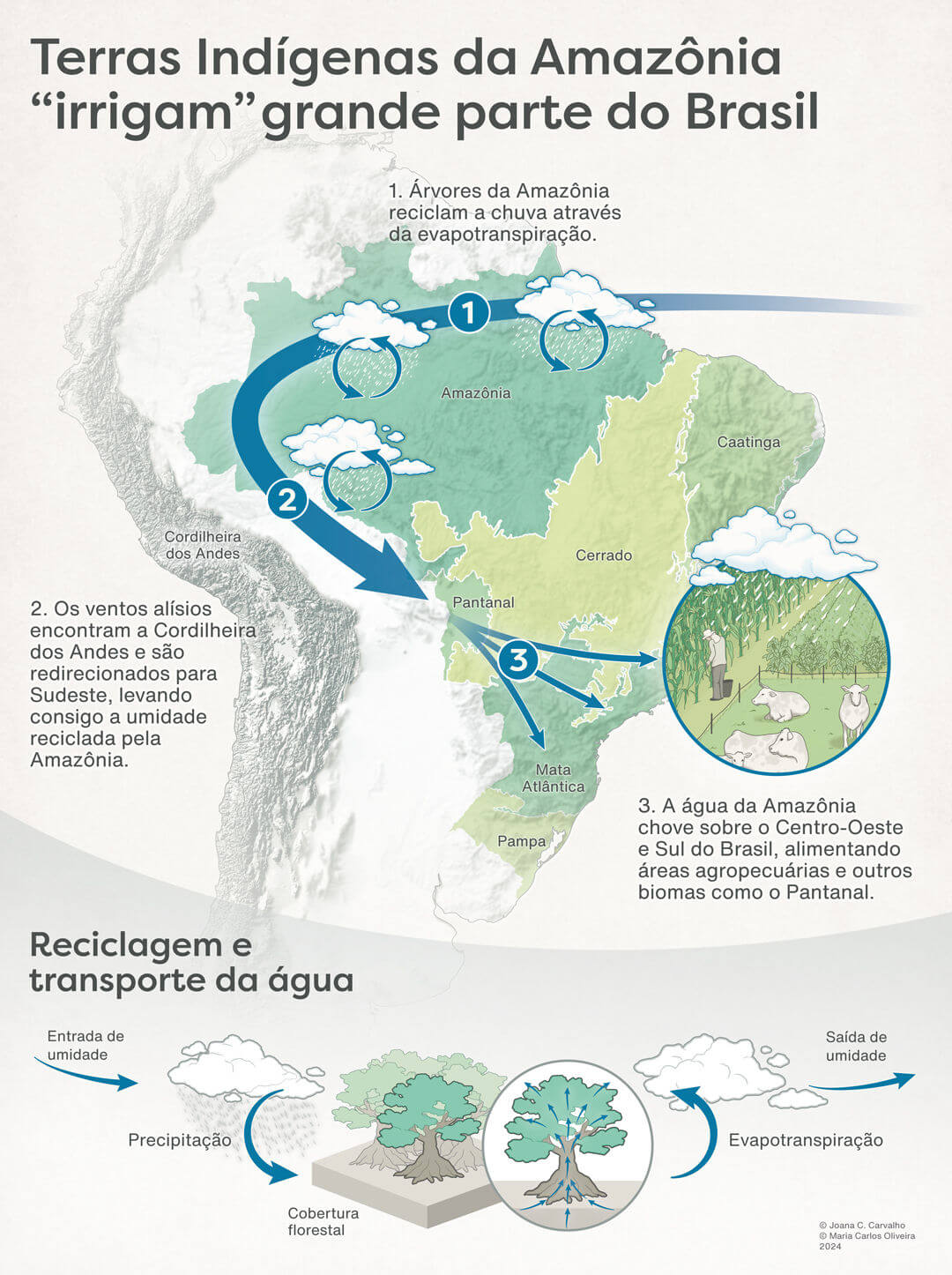 Terras Indígenas da Amazônia “irrigam” grande parte do país