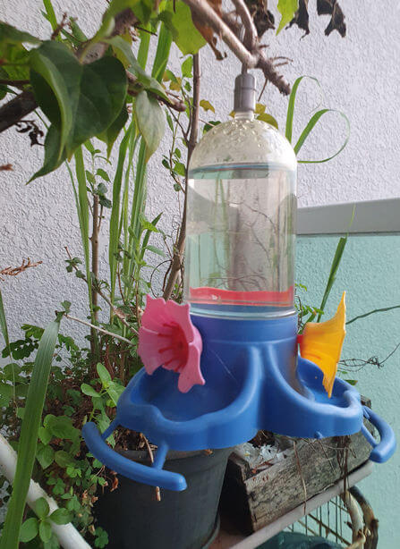 Bebedouro de água (sem açúcar), em terraço de apartamento, adaptado para beija-flores. Foto: Heraldo Campos em 13/03/2025